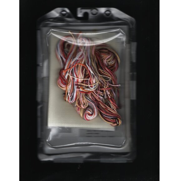 Dimensions Cross Stitch Gold Collection Petites Seashell Treasures Complete - Picture 2 of 2